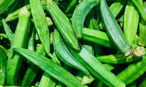 吃什么食物强筋壮骨对关节好